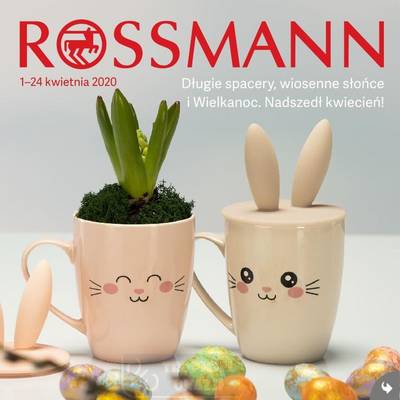 Rossmann kwiecień