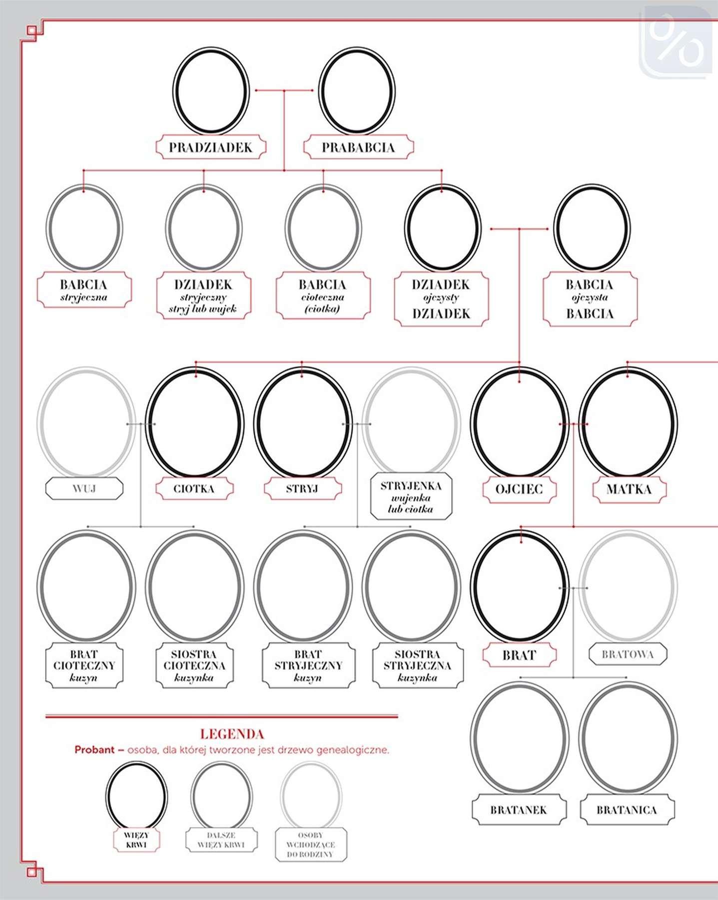 Gazetka promocyjna Rossmann str. 88