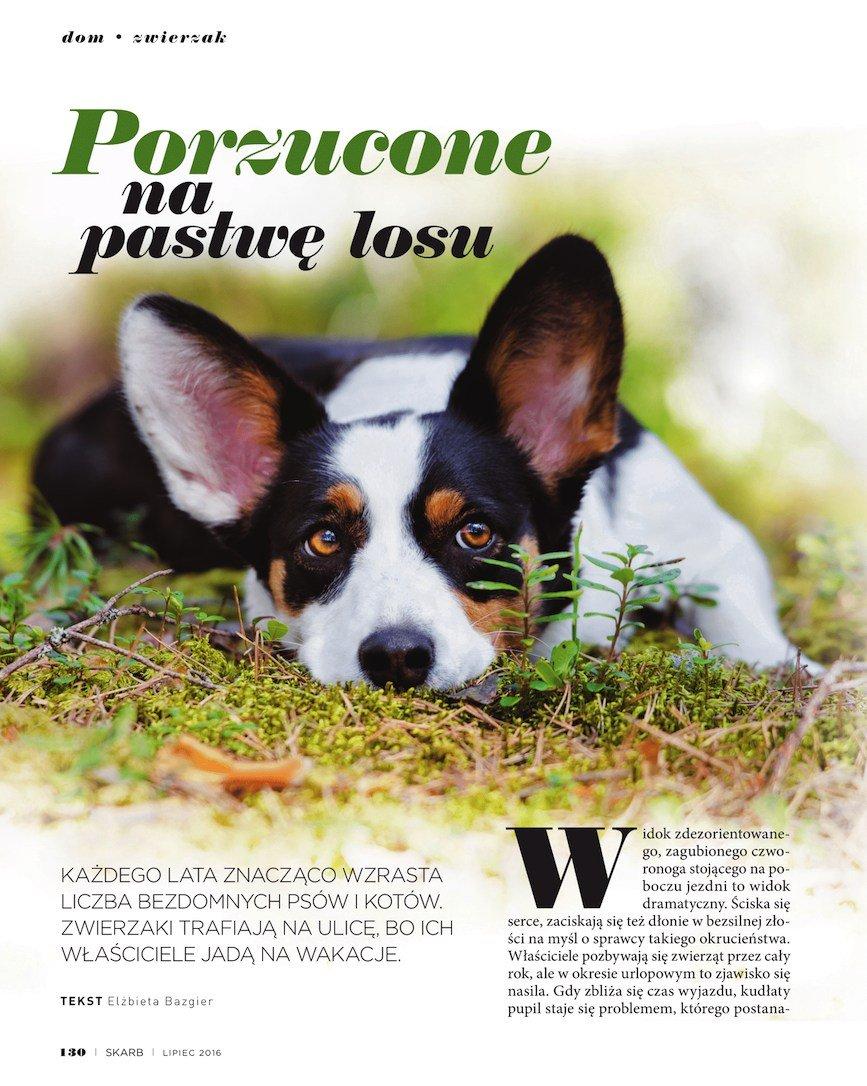 Gazetka promocyjna Rossmann str. 130