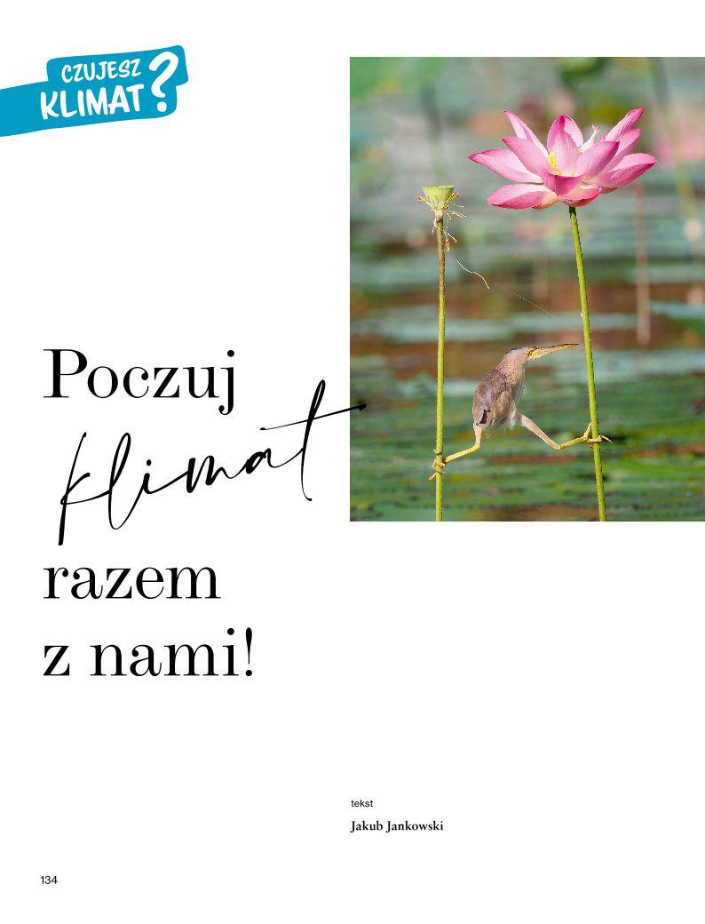 Gazetka promocyjna Rossmann str. 134