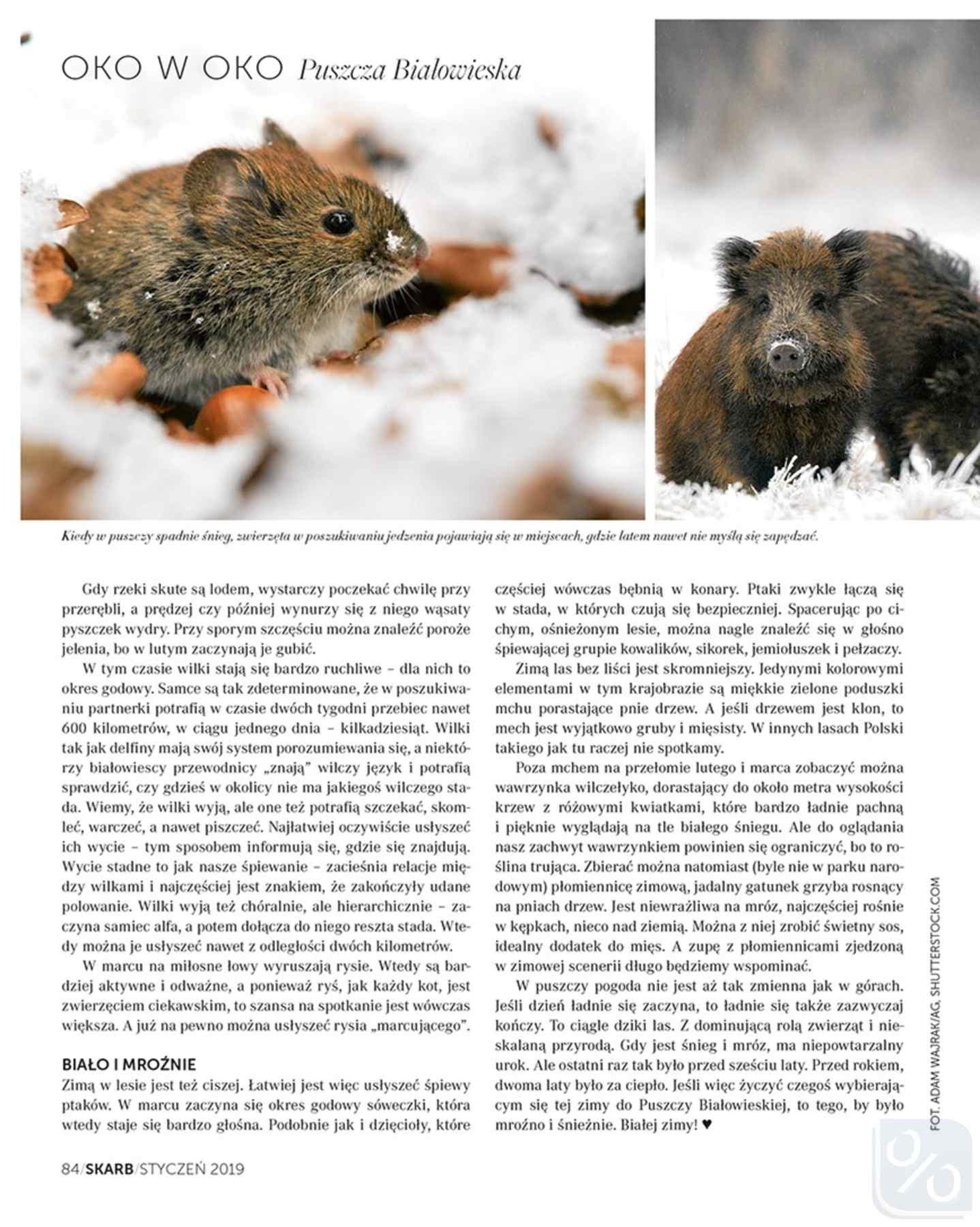 Gazetka promocyjna Rossmann str. 84