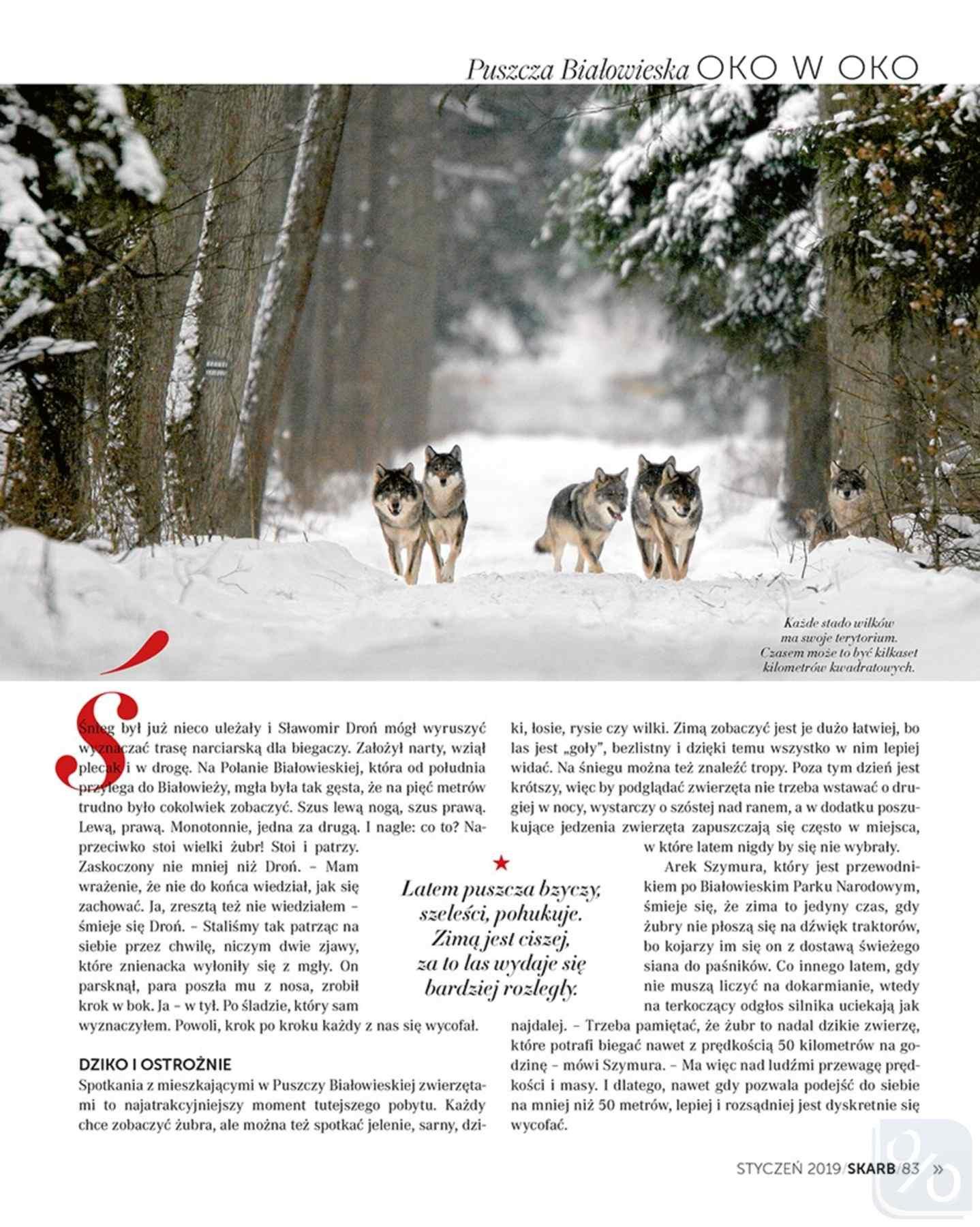 Gazetka promocyjna Rossmann str. 83