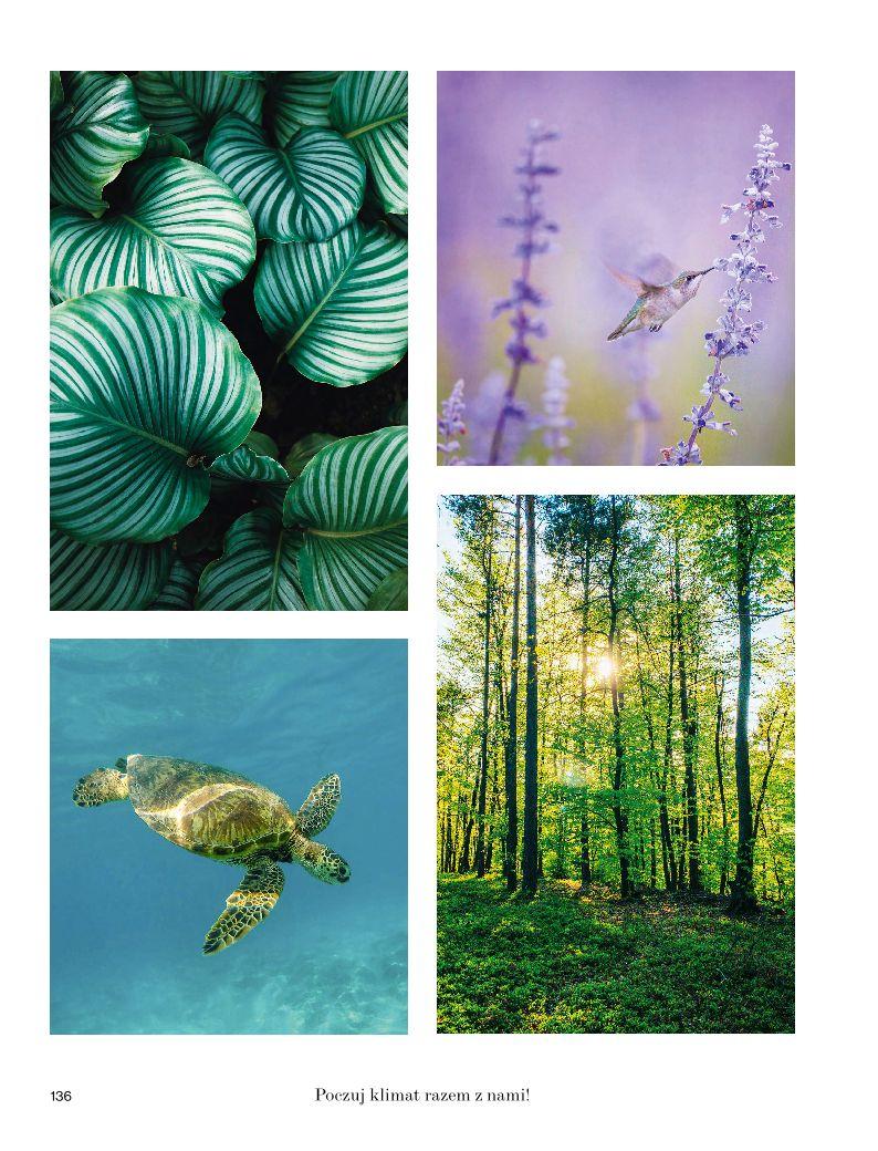 Gazetka promocyjna Rossmann str. 136