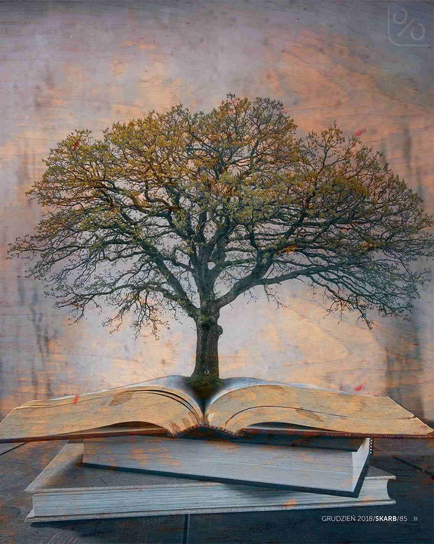 Gazetka promocyjna Rossmann str. 85