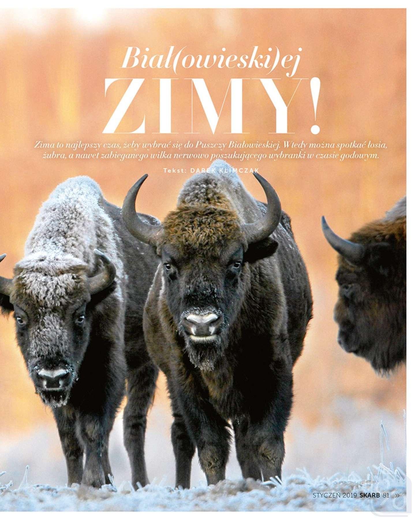 Gazetka promocyjna Rossmann str. 81