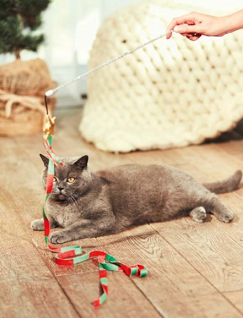 Gazetka promocyjna Rossmann str. 175