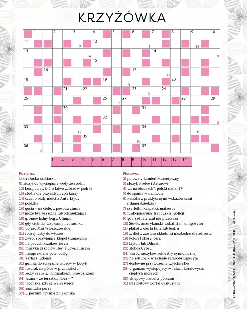 Gazetka promocyjna Rossmann str. 146