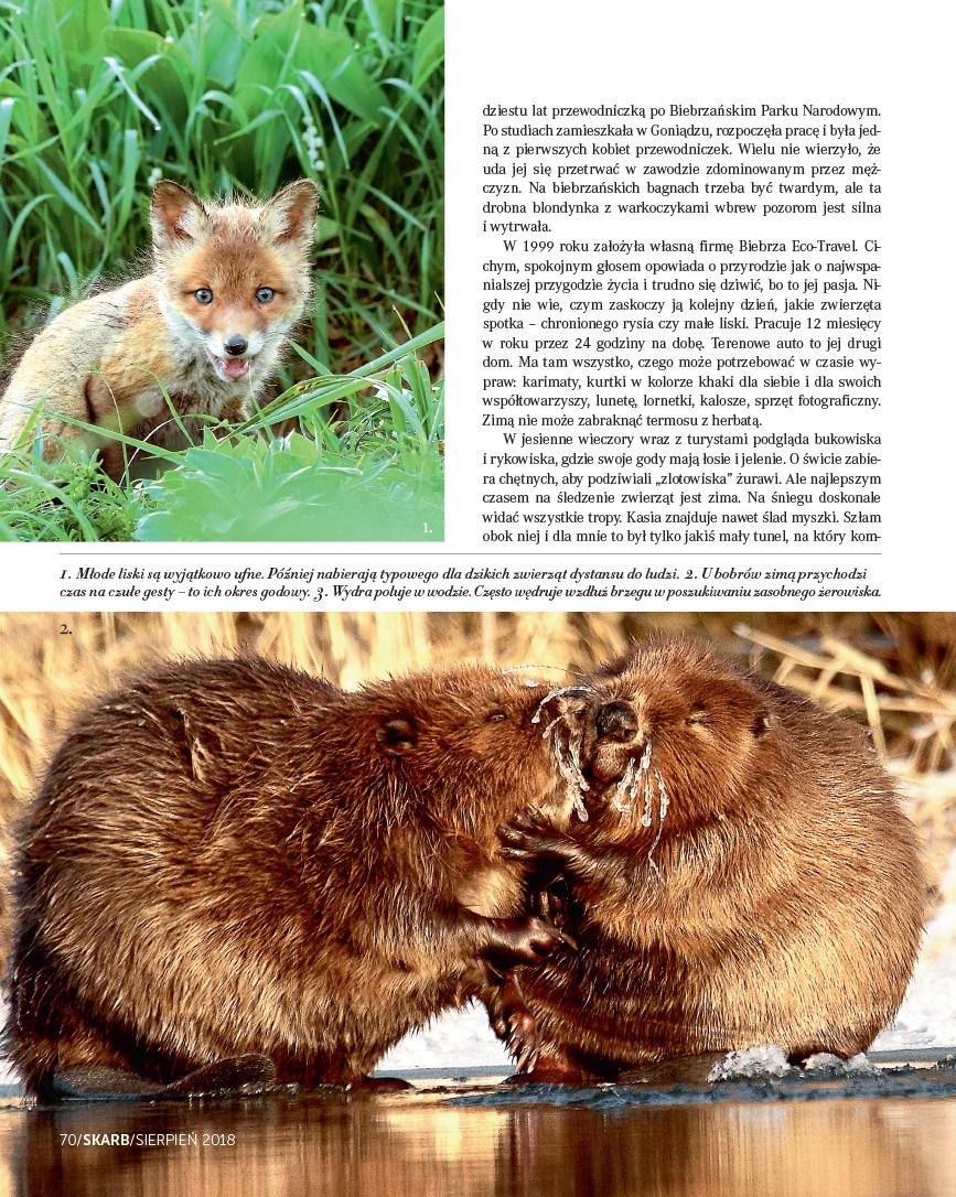 Gazetka promocyjna Rossmann str. 70