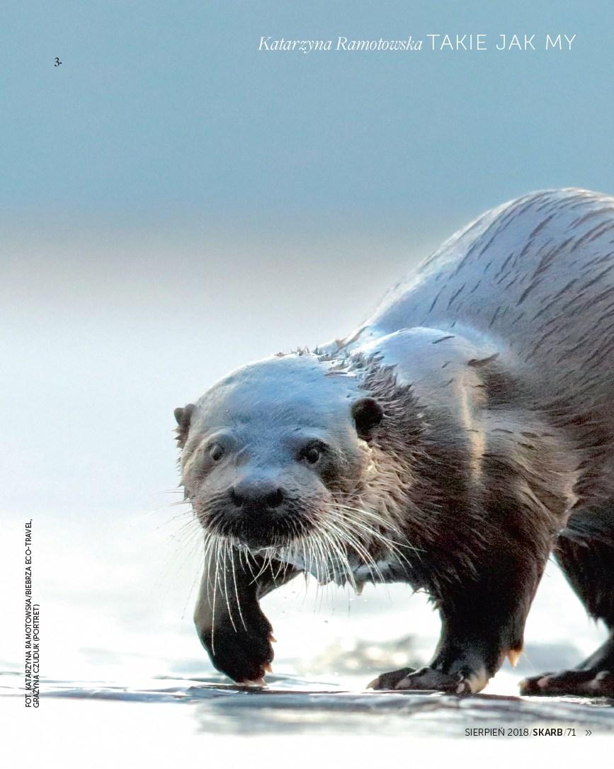 Gazetka promocyjna Rossmann str. 71