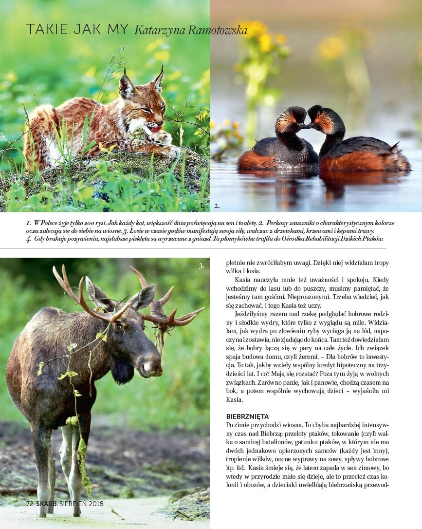 Gazetka promocyjna Rossmann str. 72