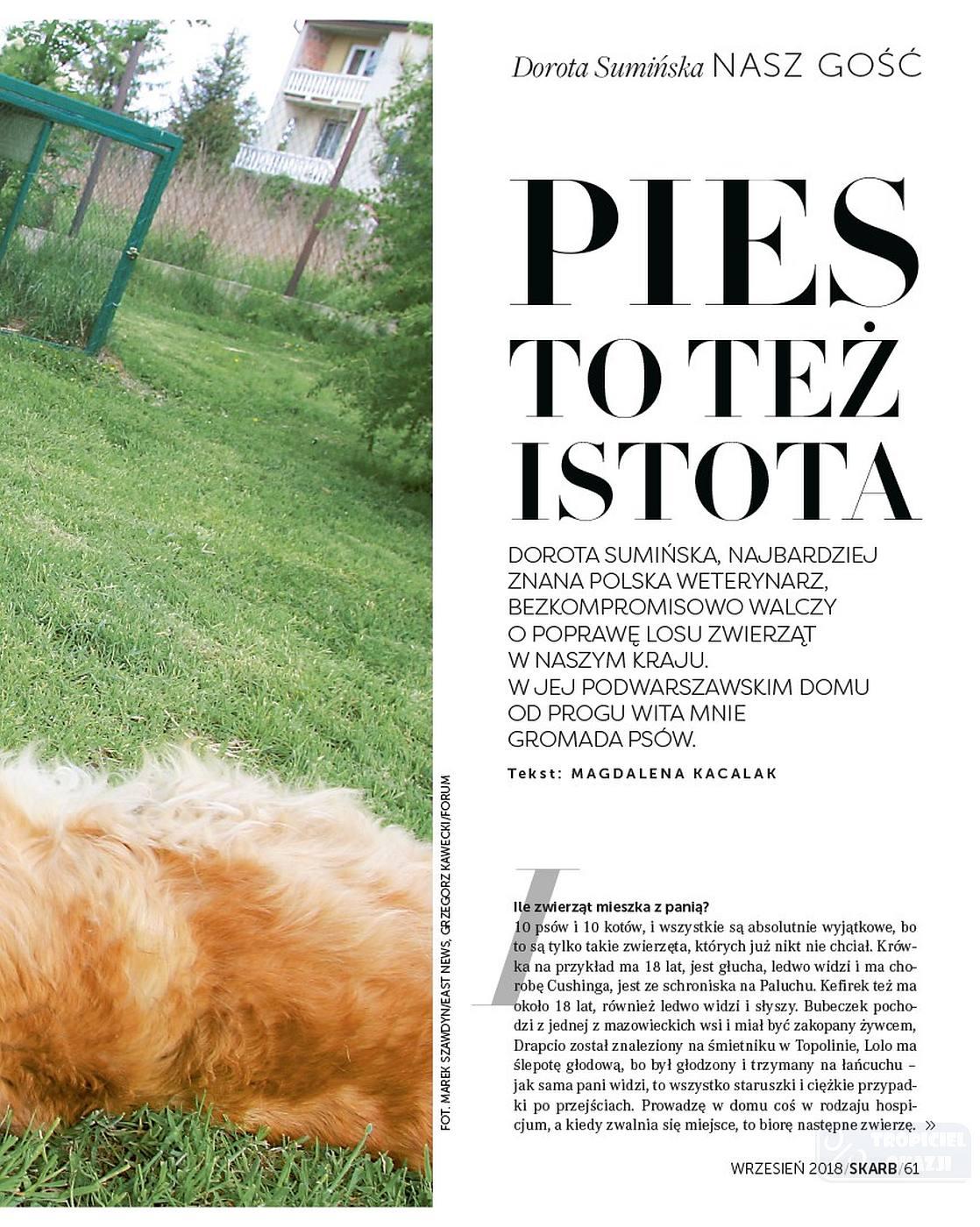 Gazetka promocyjna Rossmann str. 61